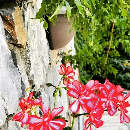 Bed & Breakfast Nehir Dalyan Boutique *