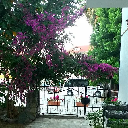 Nehir Dalyan Boutique فندق مبيت وإفطار 3*