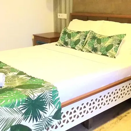 Nehir Dalyan Boutique 3*