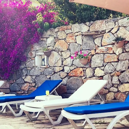 Nehir Dalyan Boutique 3*