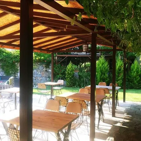 فندق مبيت وإفطار Nehir Dalyan Boutique 3*