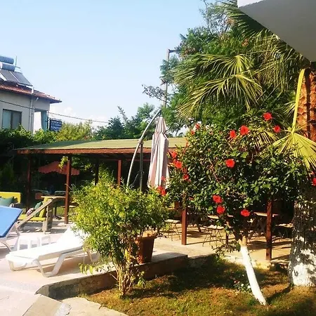 Nehir Dalyan Boutique 3*