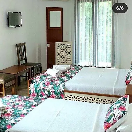 住宿加早餐酒店 Nehir Dalyan Boutique 3*