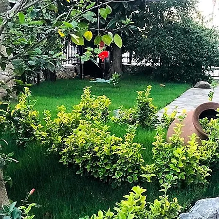 Nehir Dalyan Boutique Bed & Breakfast Ortaca (Mugla)