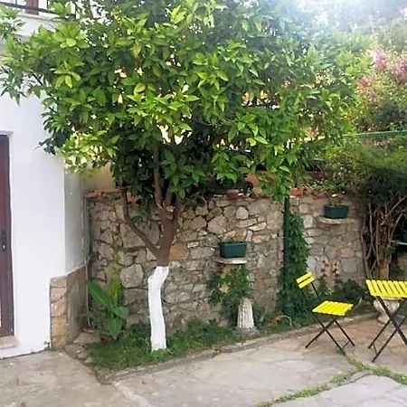 Nehir Dalyan Boutique