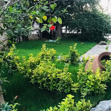 Nehir Dalyan Boutique أورتاجا