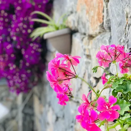 Bed & Breakfast Nehir Dalyan Boutique 3*